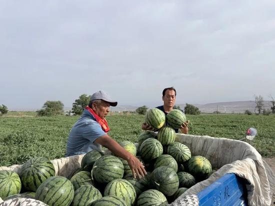 天天吃瓜 网红骨科,揭秘“天天吃瓜”背后的医疗奇迹 第1张 天天吃瓜 网红骨科,揭秘“天天吃瓜”背后的医疗奇迹 第1张